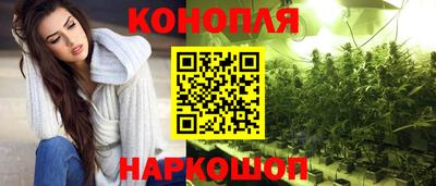 индика Заволжье