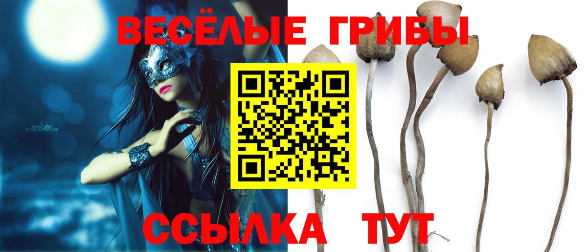 Галлюциногенные грибы мицелий  Галлюциногенные грибы GOLDEN TEACHER  Вход с VPN  Лосино-Петровский 